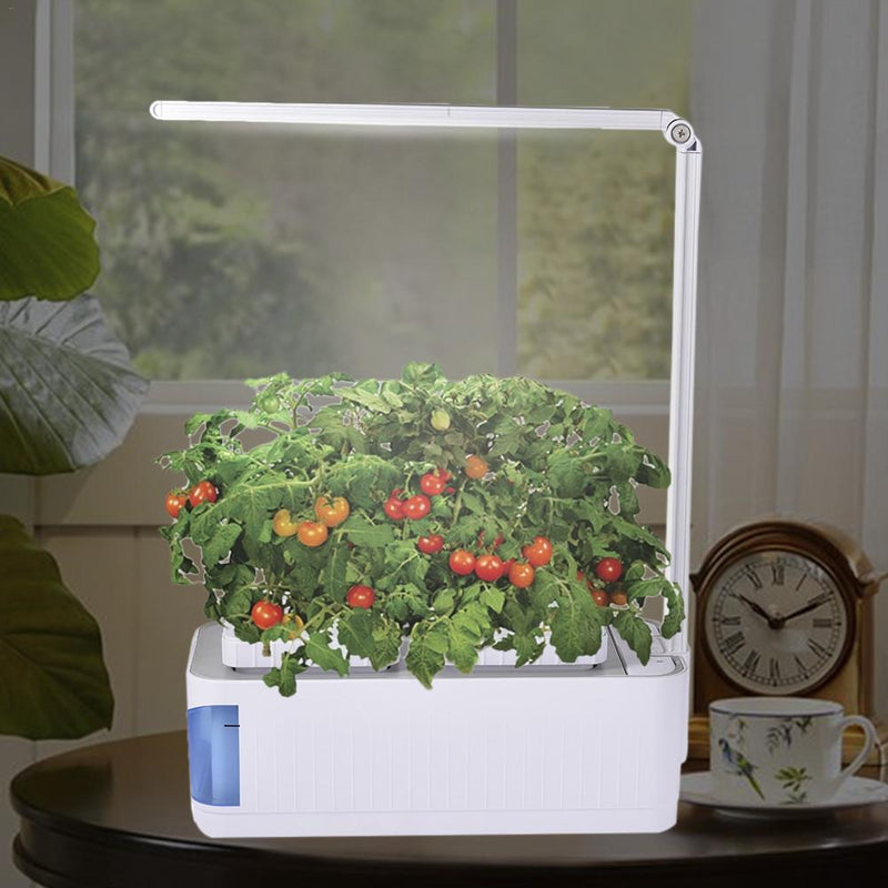 Indoor Herb Garden Kit
